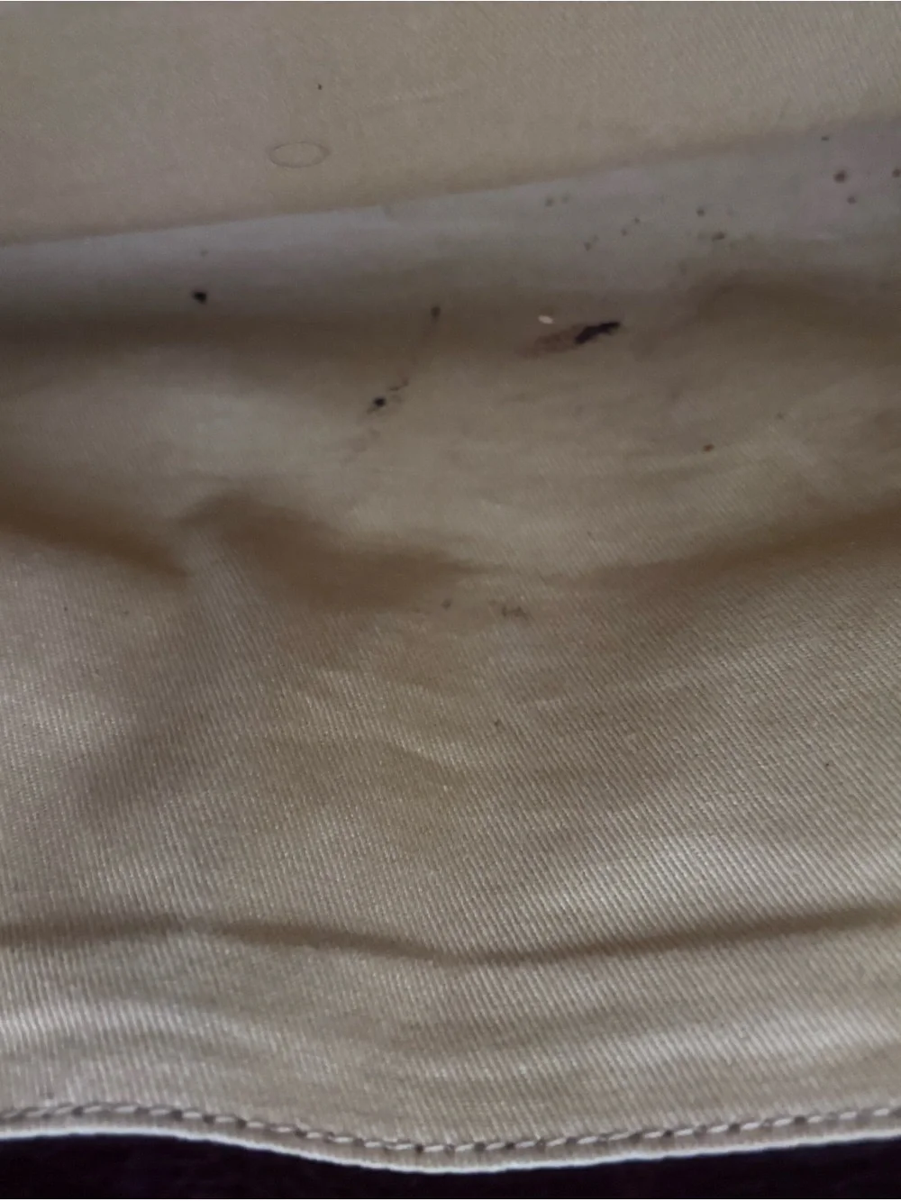 Cole Haan bag travel